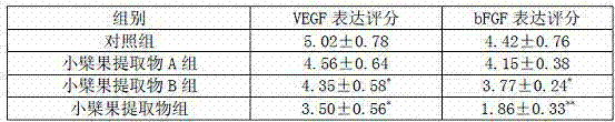 Application of Berberis fruit extract in preparation of anticancer drugs