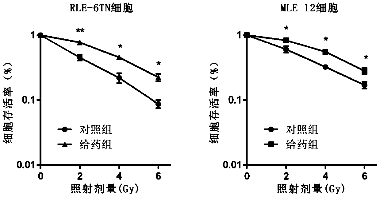 Application of amlexanox in the preparation of drugs for the prevention and treatment of ionizing radiation-induced radioactive lung injury