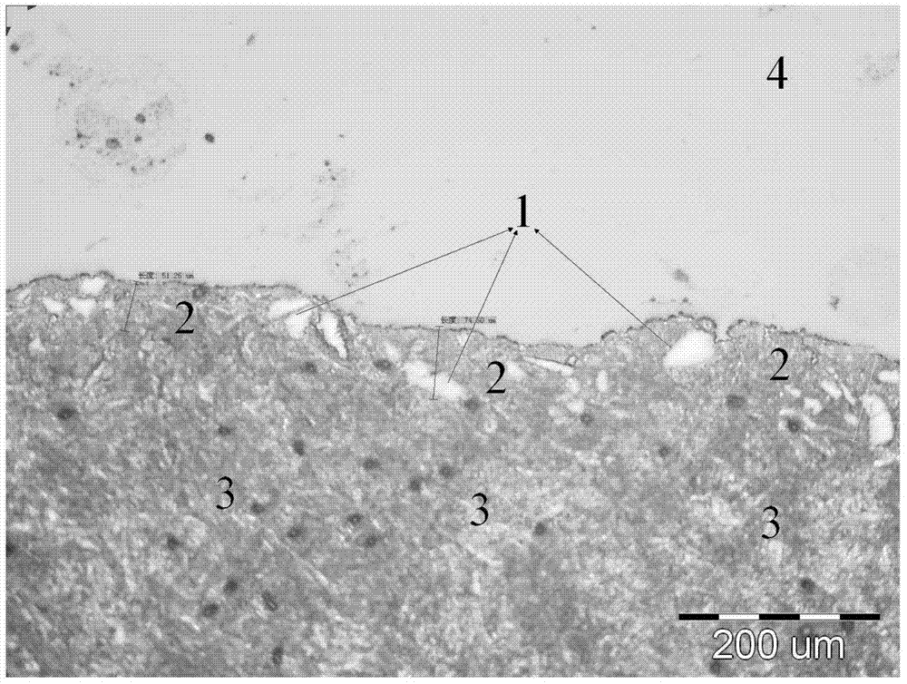 A lead-carbon battery negative plate