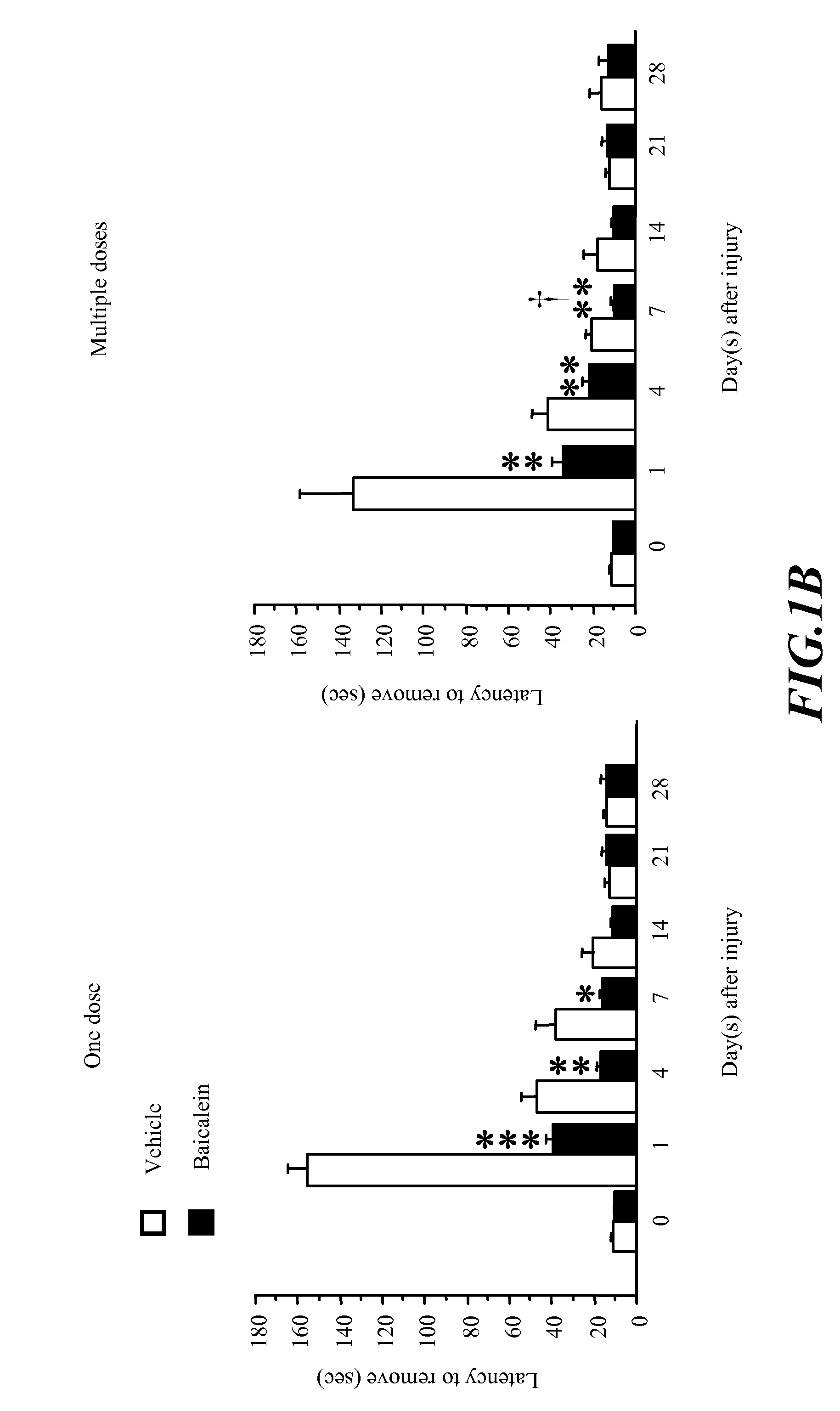 Usage of Baicalein in the Preparation of a Pharmaceutical Composition for the Treatment of Traumatic Brain Injury