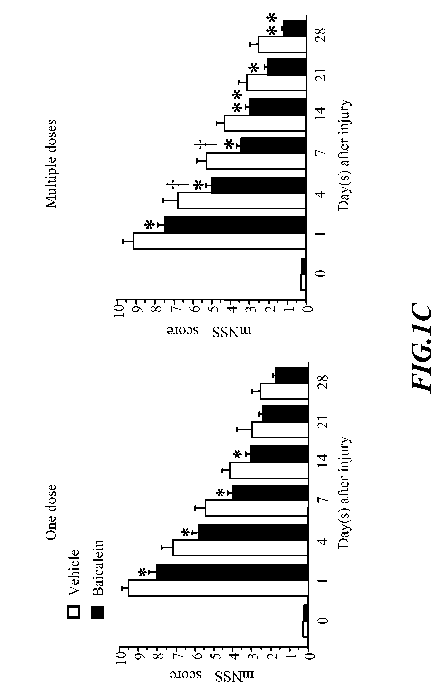 Usage of Baicalein in the Preparation of a Pharmaceutical Composition for the Treatment of Traumatic Brain Injury