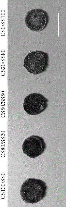 Chitosan-sericin composite biological scaffold as well as preparation method and application thereof