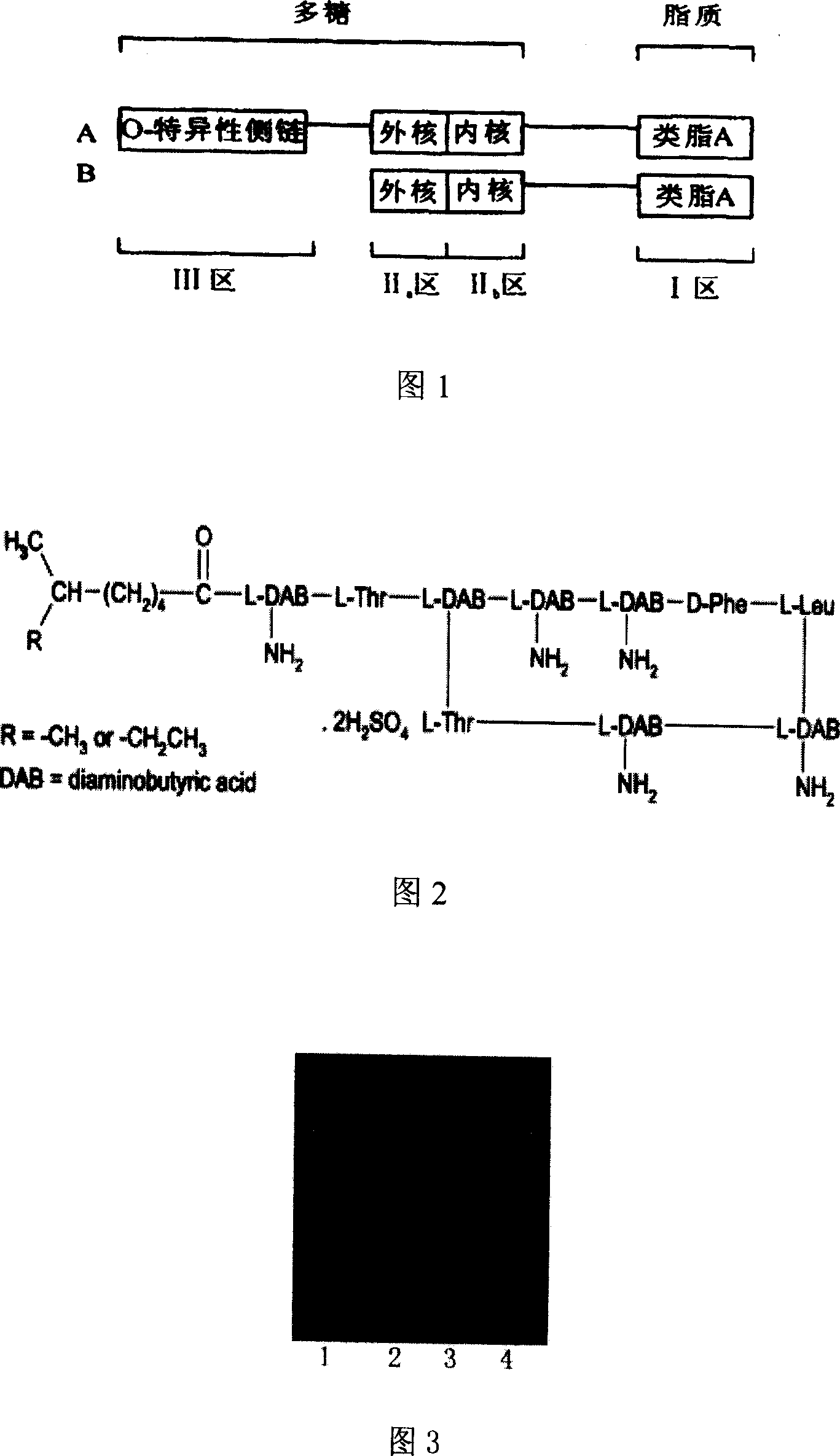 Method for taking off endotoxin in primary pure plasmids or proteins, and kit