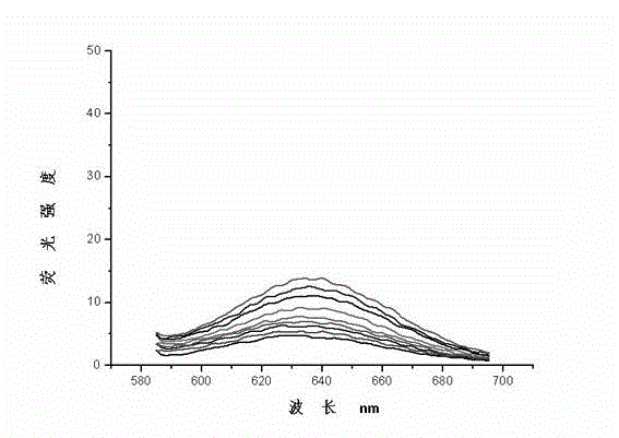 Dual-functional probe and preparation method and application in detection of G-quadruplex structure thereof