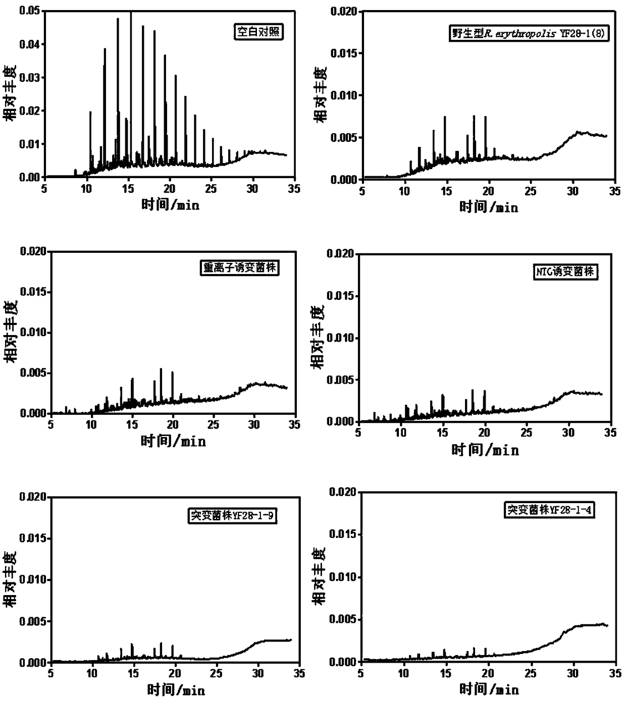 Induced mutation screening method and applications of Rhodococcus erythropolis bacterial strain YF28-1-4