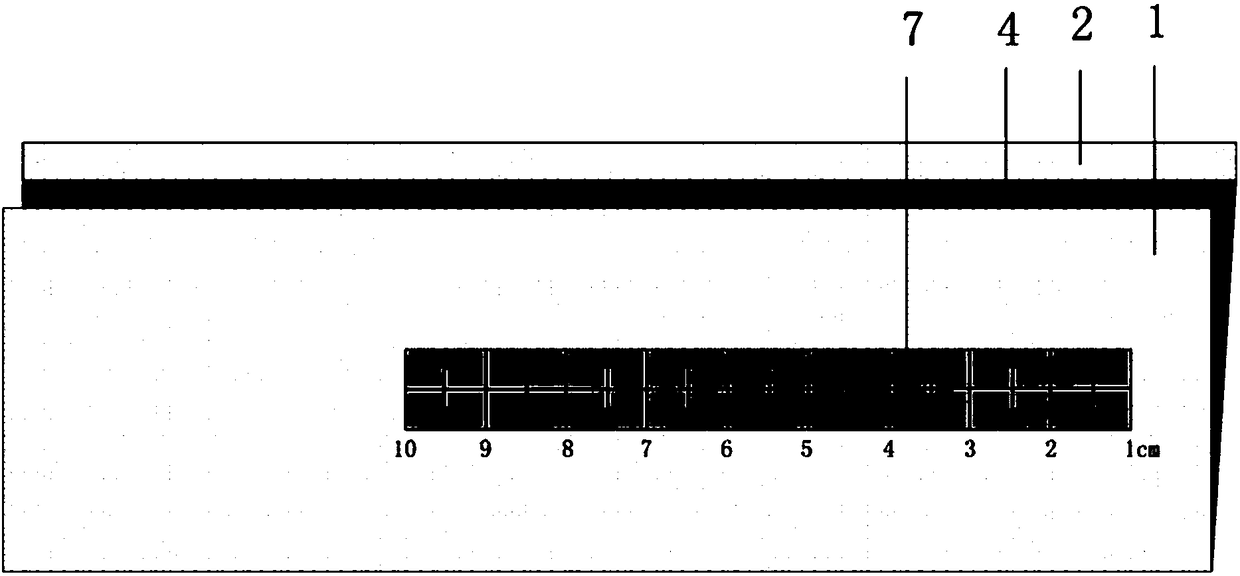 Orientated measurement shielding apparatus of complex dose field of nuclear power plant