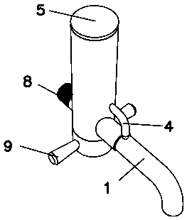 Sterilization faucet