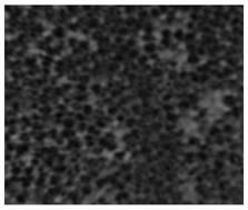 Porous ceramic block, metal matrix composite material and preparation method thereof