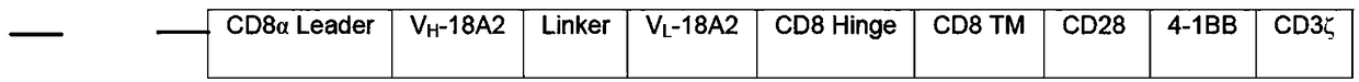 Anti-Claudin18A2 chimeric antigen receptor, T cell modified thereby, and preparation method and application of T cell