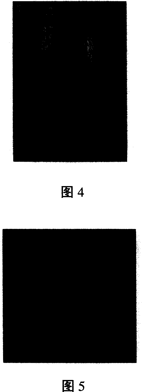 Goffer pseudomonas P94 and application thereof