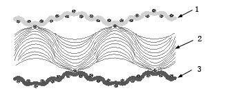 Novel moisture absorption temperature regulation antibacterial summer quilt and production technology thereof