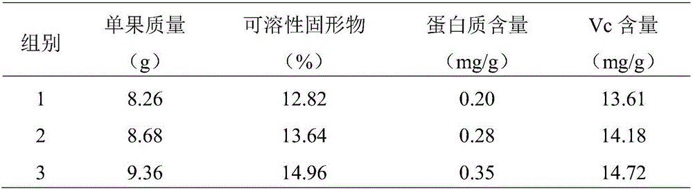 Cherry bacterial fertilizer and preparation method thereof