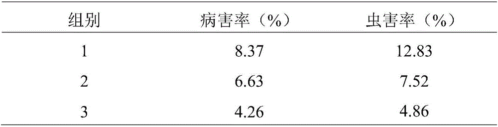 Cherry bacterial fertilizer and preparation method thereof