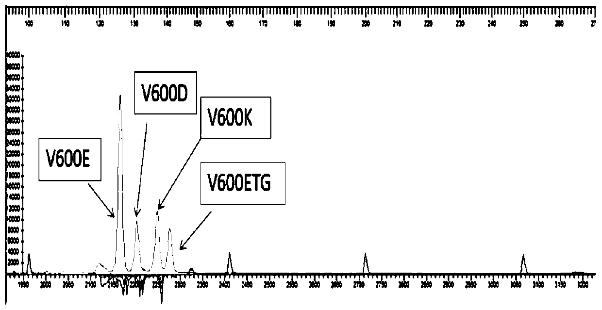 Kit and detection method for detecting BRAF gene mutation