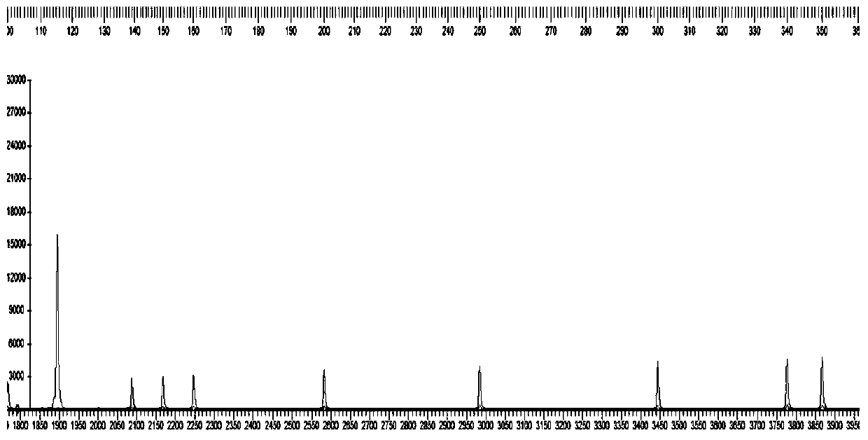 Kit and detection method for detecting BRAF gene mutation