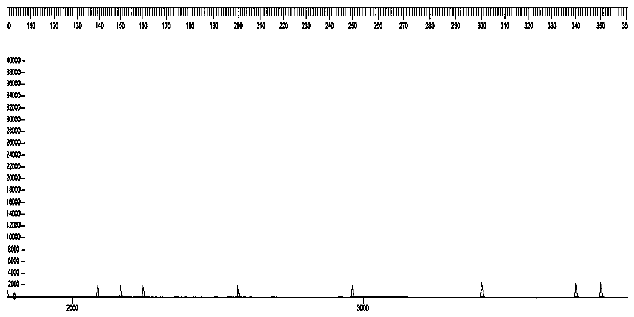 Kit and detection method for detecting BRAF gene mutation