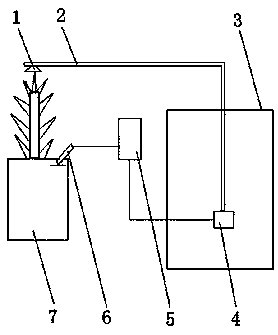 Automatic flower watering device for office