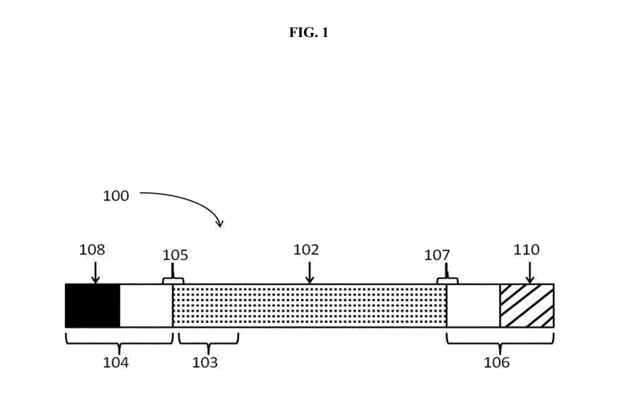 Modified polynucleotides for the production of nuclear proteins