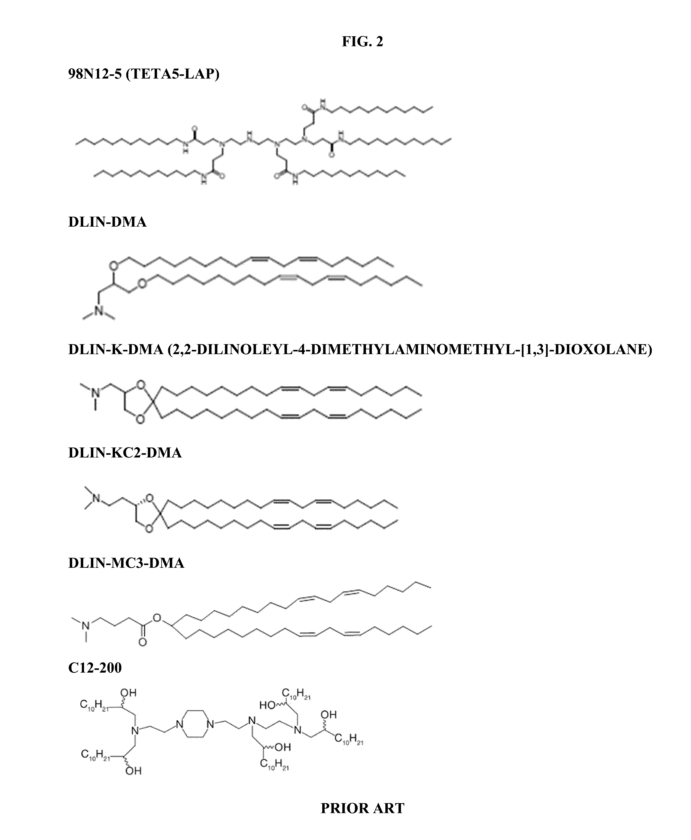 Modified polynucleotides for the production of nuclear proteins