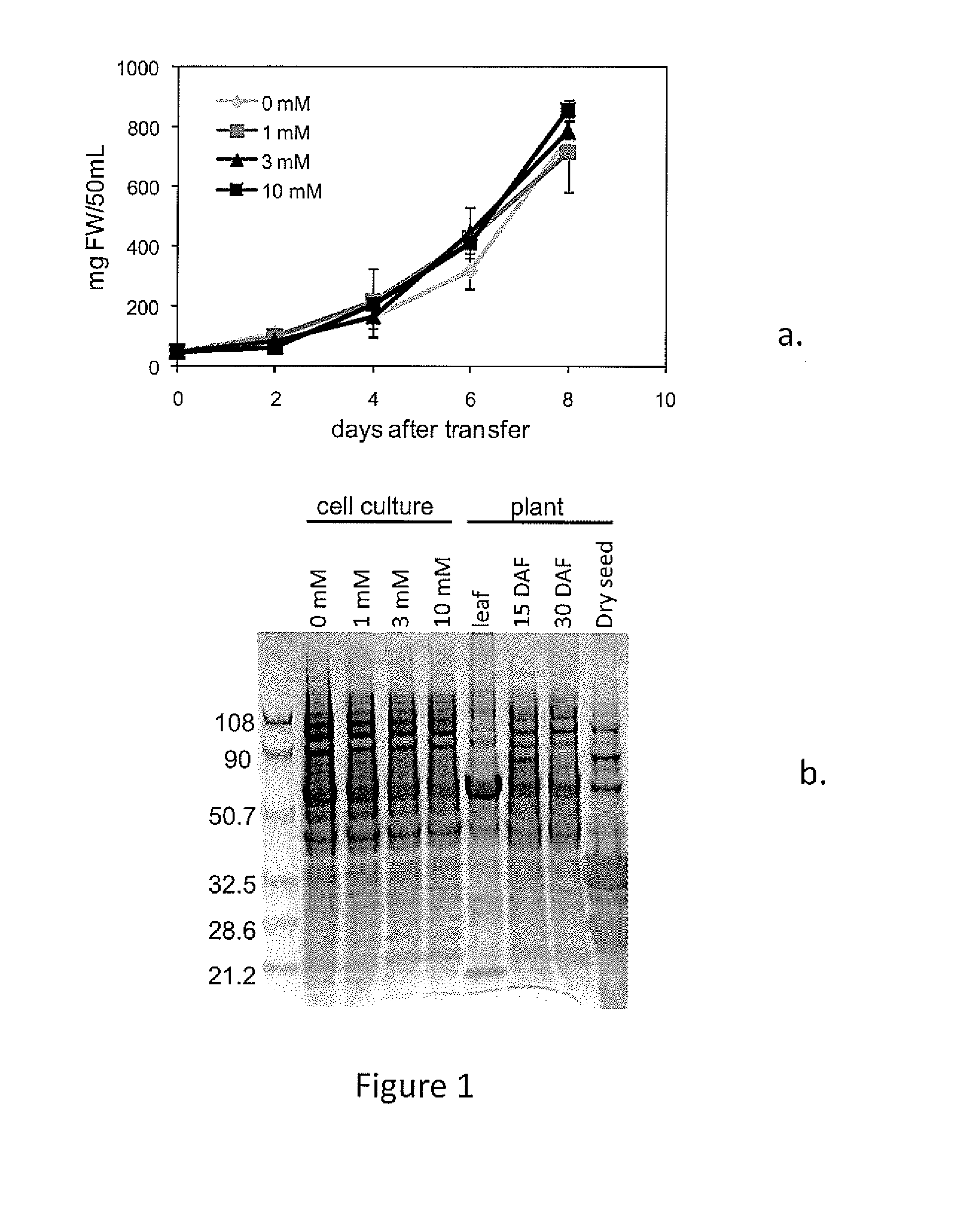 Modified plants with increased oil content