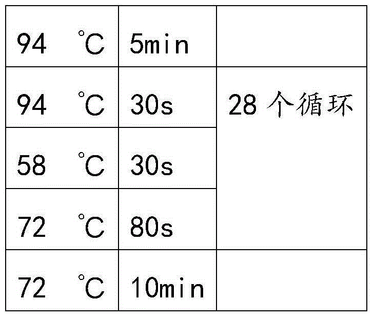 Preparation method of recombinant avian influenza subunit vaccine