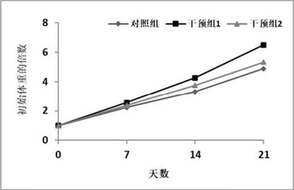 Infant formula milk powder capable of optimizing amino acid patterns and improving immunity and preparation method of infant formula milk powder