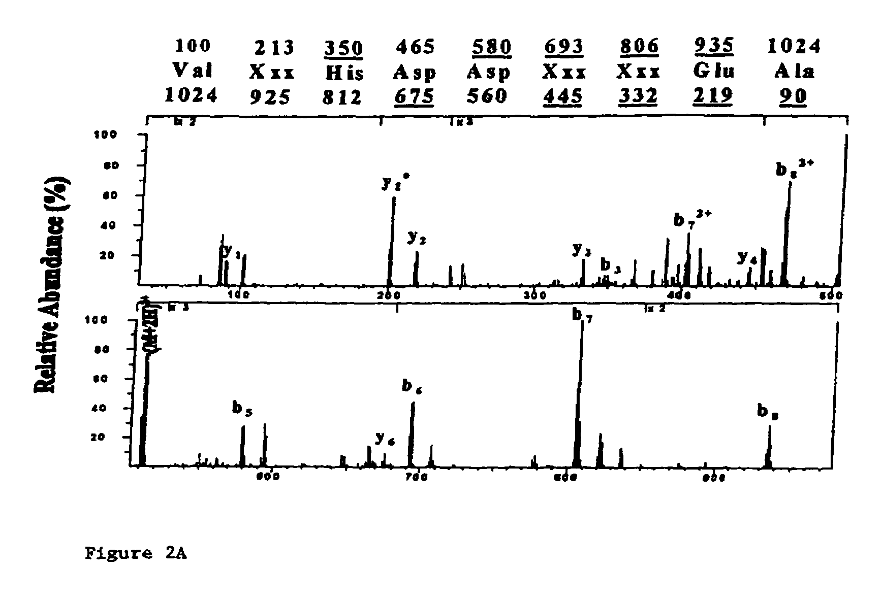 HA-1 antigen