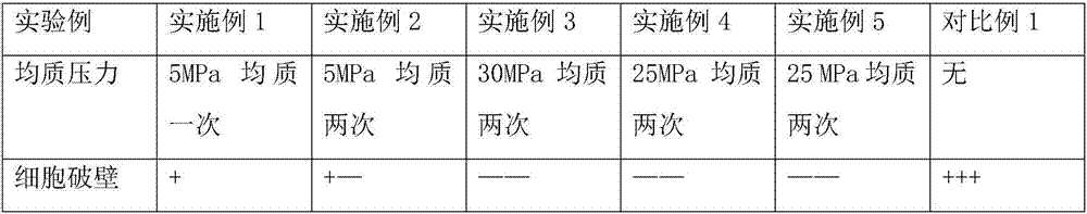 Preparation method of chlorella noodles