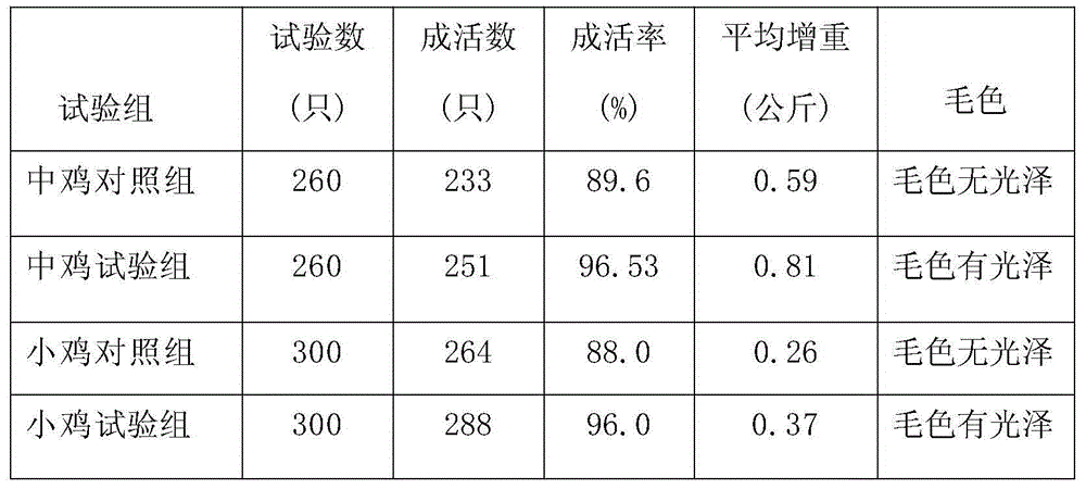 Compound medicine for preventing and treating infectious diseases of livestock and poultry and preparation method thereof