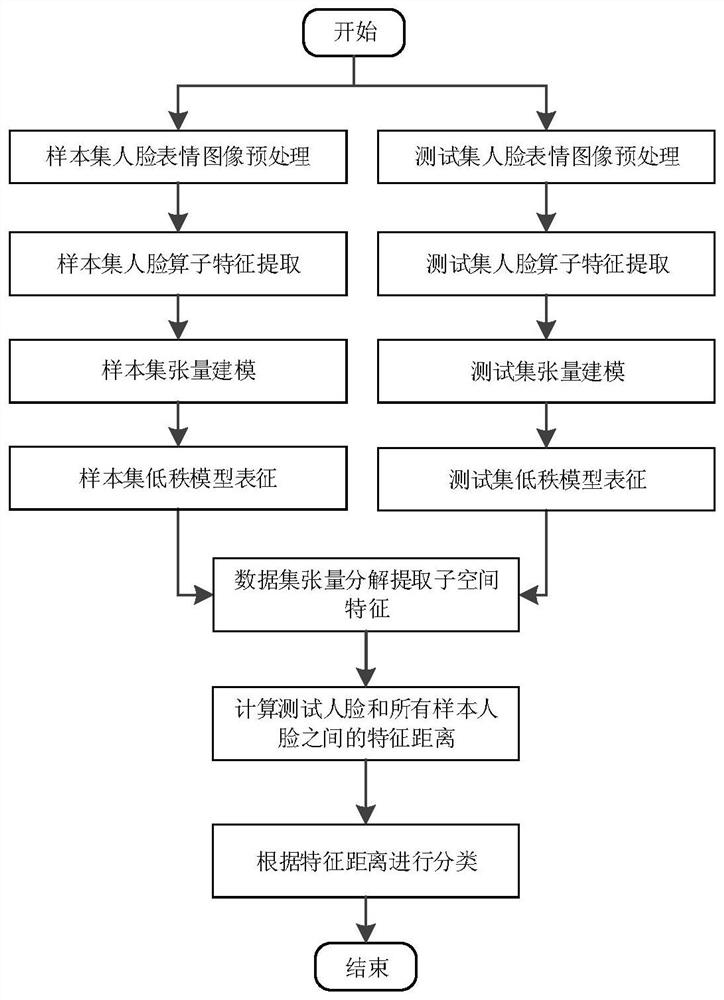 Diverse facial expression recognition method based on low-rank tensor decomposition