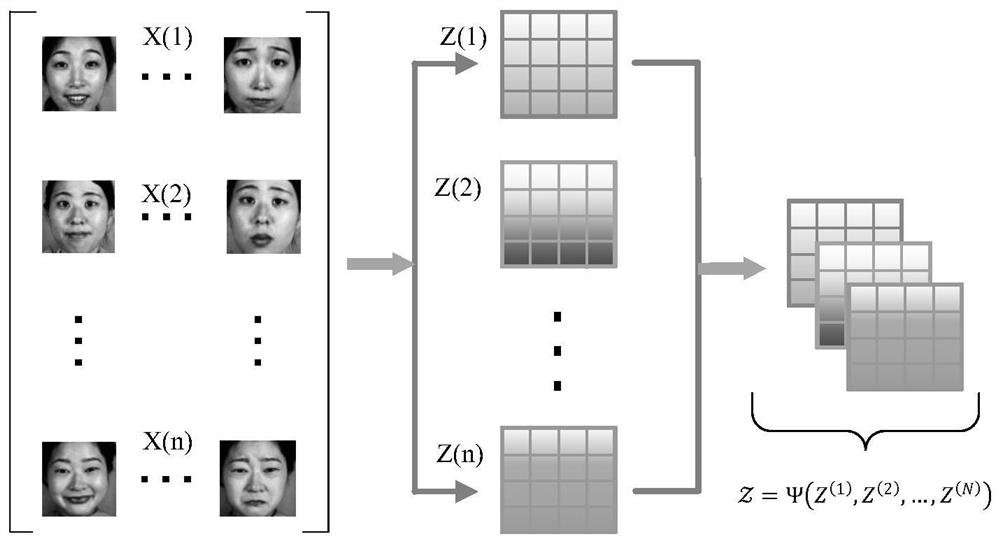 Diverse facial expression recognition method based on low-rank tensor decomposition