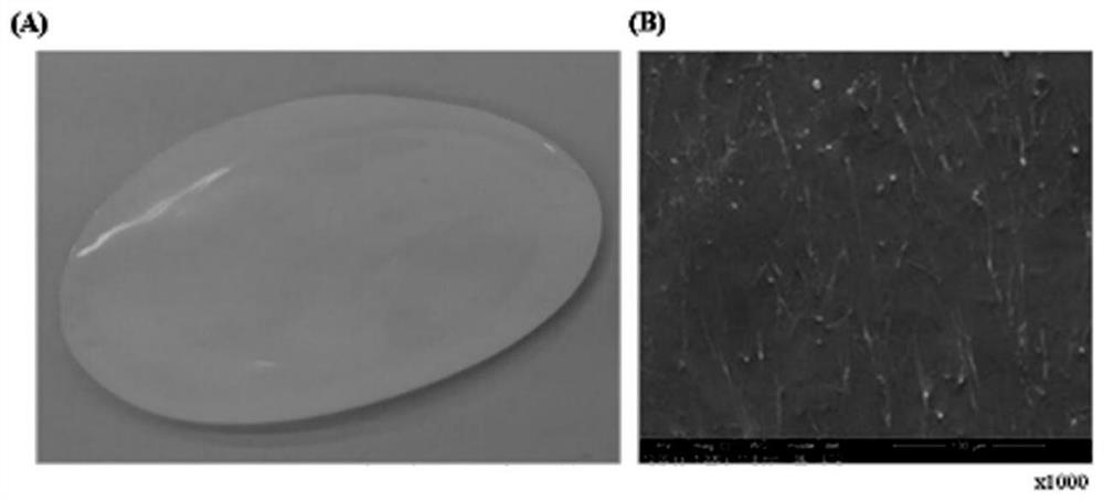 A kind of functional ionic liquid-gelatin composite film and preparation method thereof