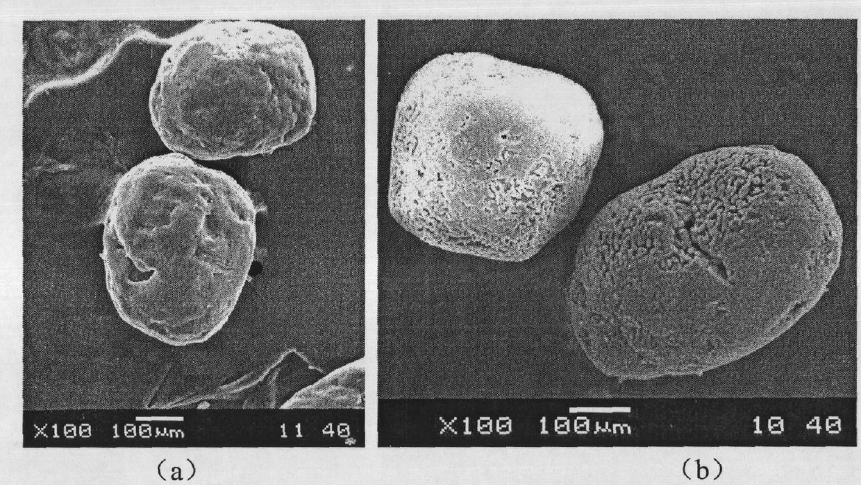 Surface coating method of ammonium salts