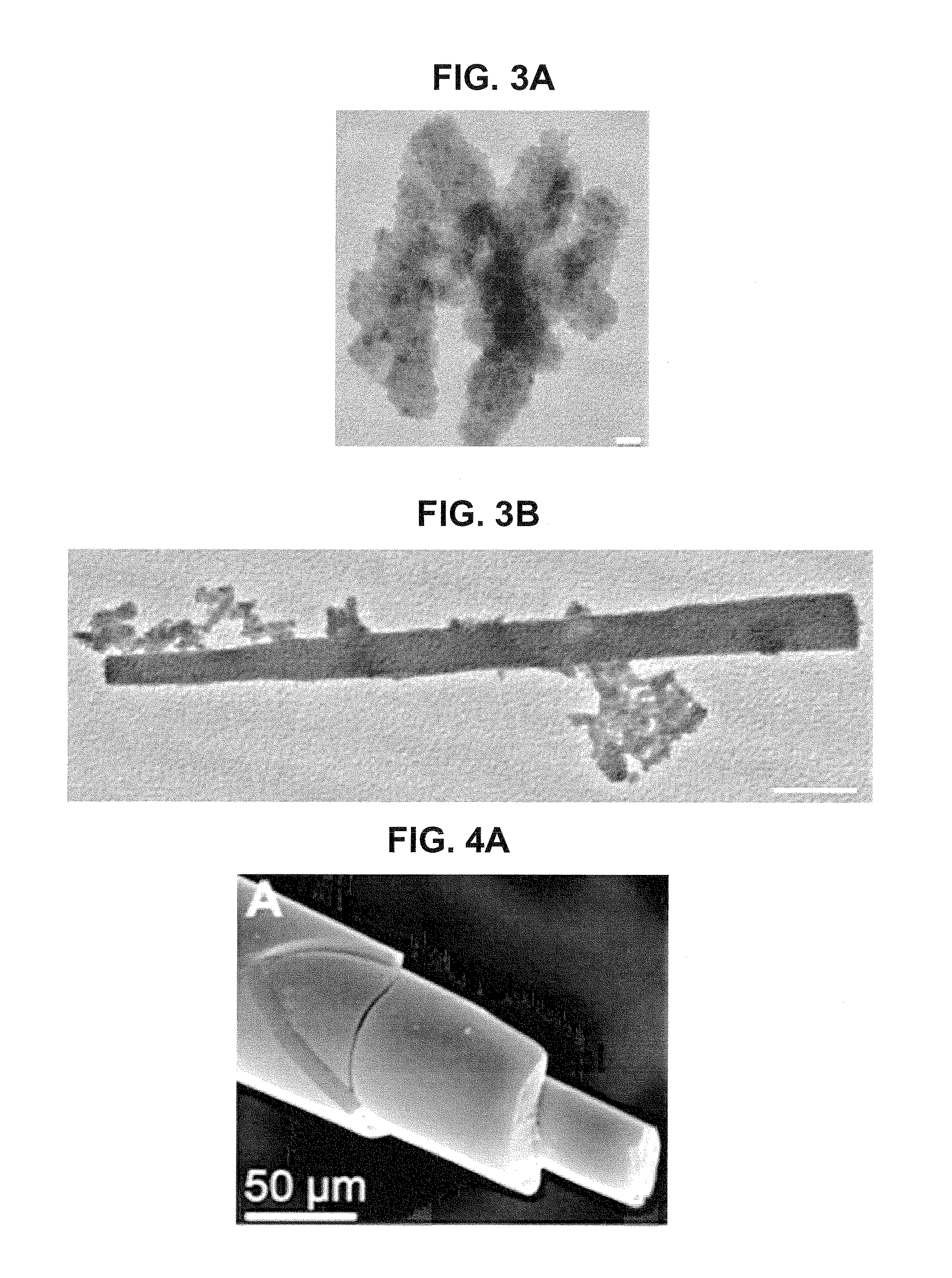 Use of Silintaphin for the Structure-Directed Fabrication of (Nano)Composite Materials in Medicine and (Nano)Technology