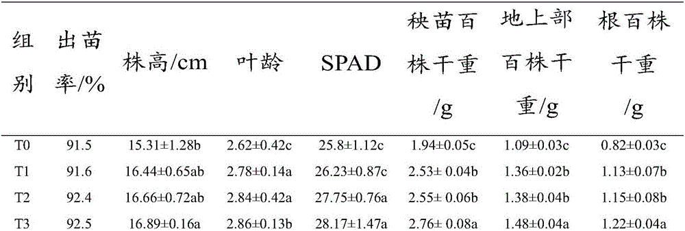 Pleurotus eryngii fungus chaff rice seedling culture matrix and preparing method thereof