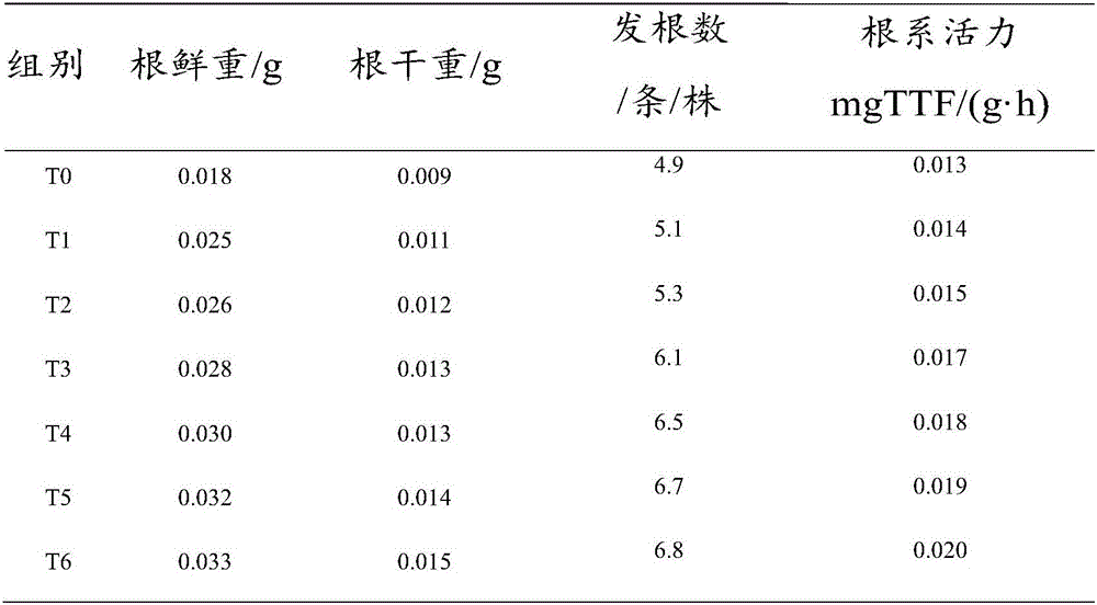 Pleurotus eryngii fungus chaff rice seedling culture matrix and preparing method thereof