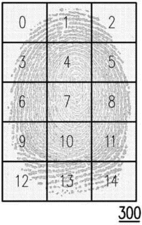 Fingerprint sensor apparatus and method for sensing fingerprint