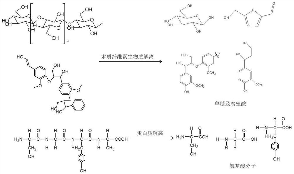 Novel process for preparing novel liquid organic fertilizer from waste biomass