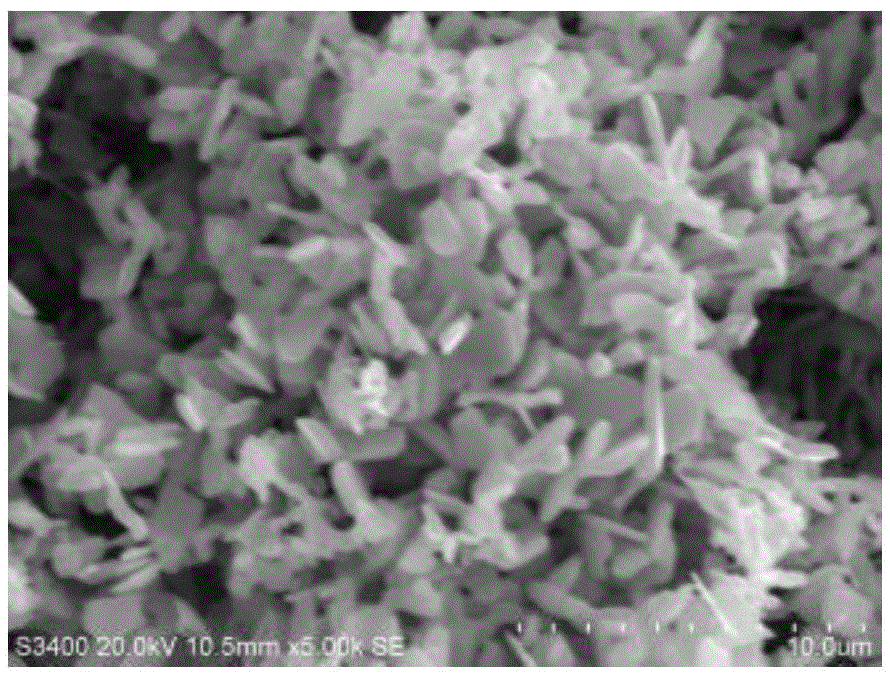 Preparation method for highly-dispersed ultrafine molybdenum powder with narrow particle size distribution