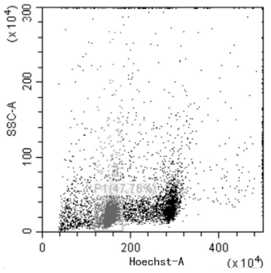 A Flow Cytometry Identification Method for the Progeny of Homozygous Lines Obtained from Wheat Haploid Breeding