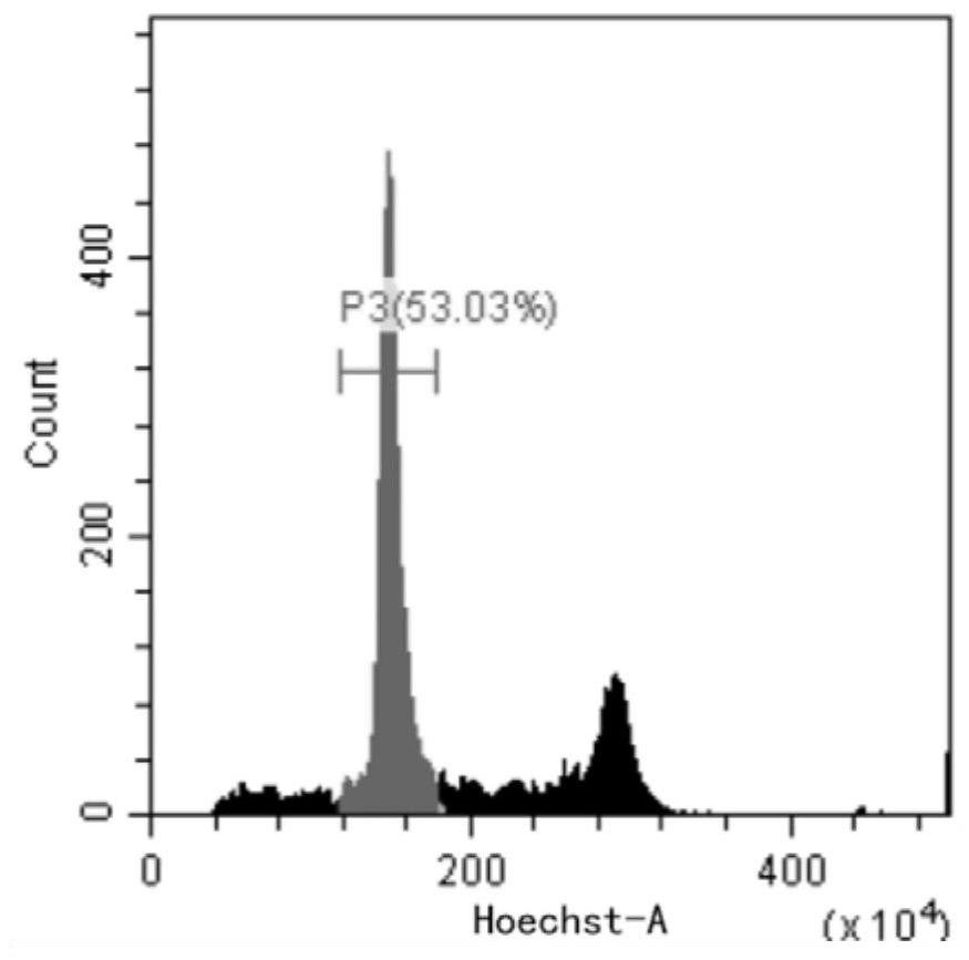 A Flow Cytometry Identification Method for the Progeny of Homozygous Lines Obtained from Wheat Haploid Breeding