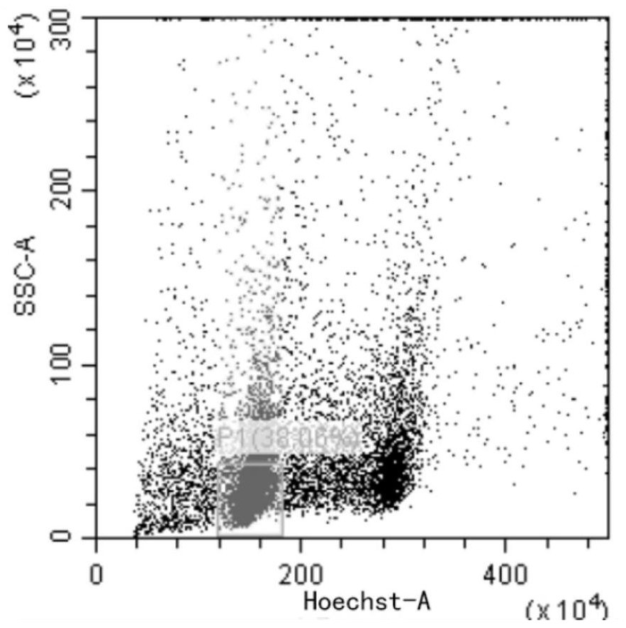 A Flow Cytometry Identification Method for the Progeny of Homozygous Lines Obtained from Wheat Haploid Breeding