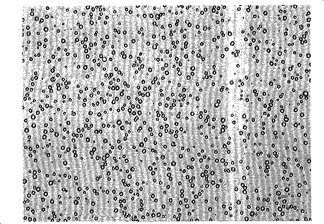 Method for preparing polymer microsphere