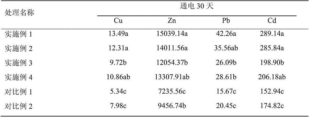 Method for repairing heavy metal soil through sedum alfredii hance with assistance of alternating current electric field