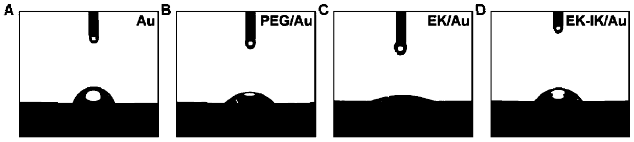 Anti-pollution polypeptide, nerve electrode modified by anti-pollution polypeptide, modification method of nerve electrode and application of anti-pollution polypeptide