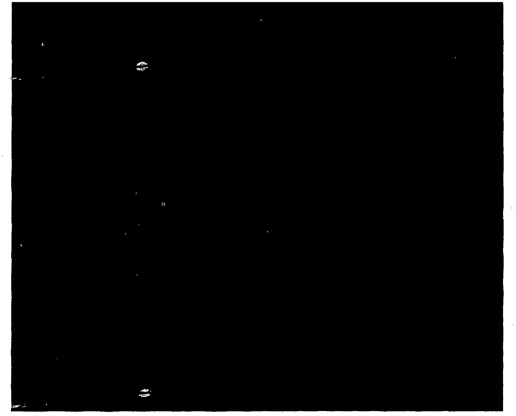 Direct fluorescene immunoassay for viral antigens