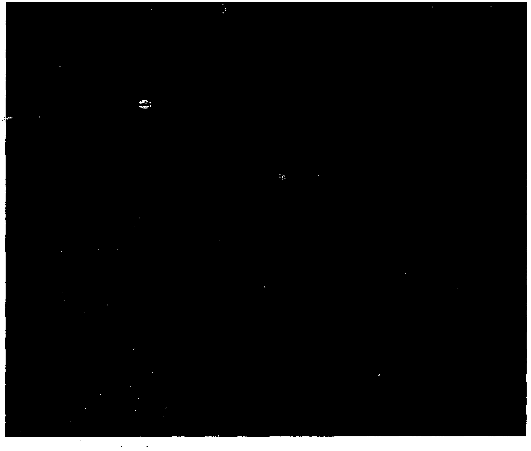 Direct fluorescene immunoassay for viral antigens