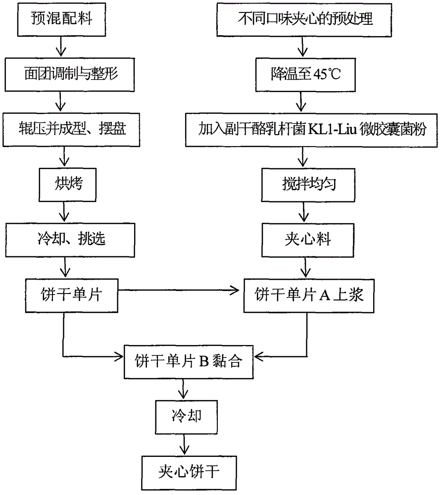 Production method of lactobacillus paracasei probiotic sandwich biscuit for lowering cholesterol