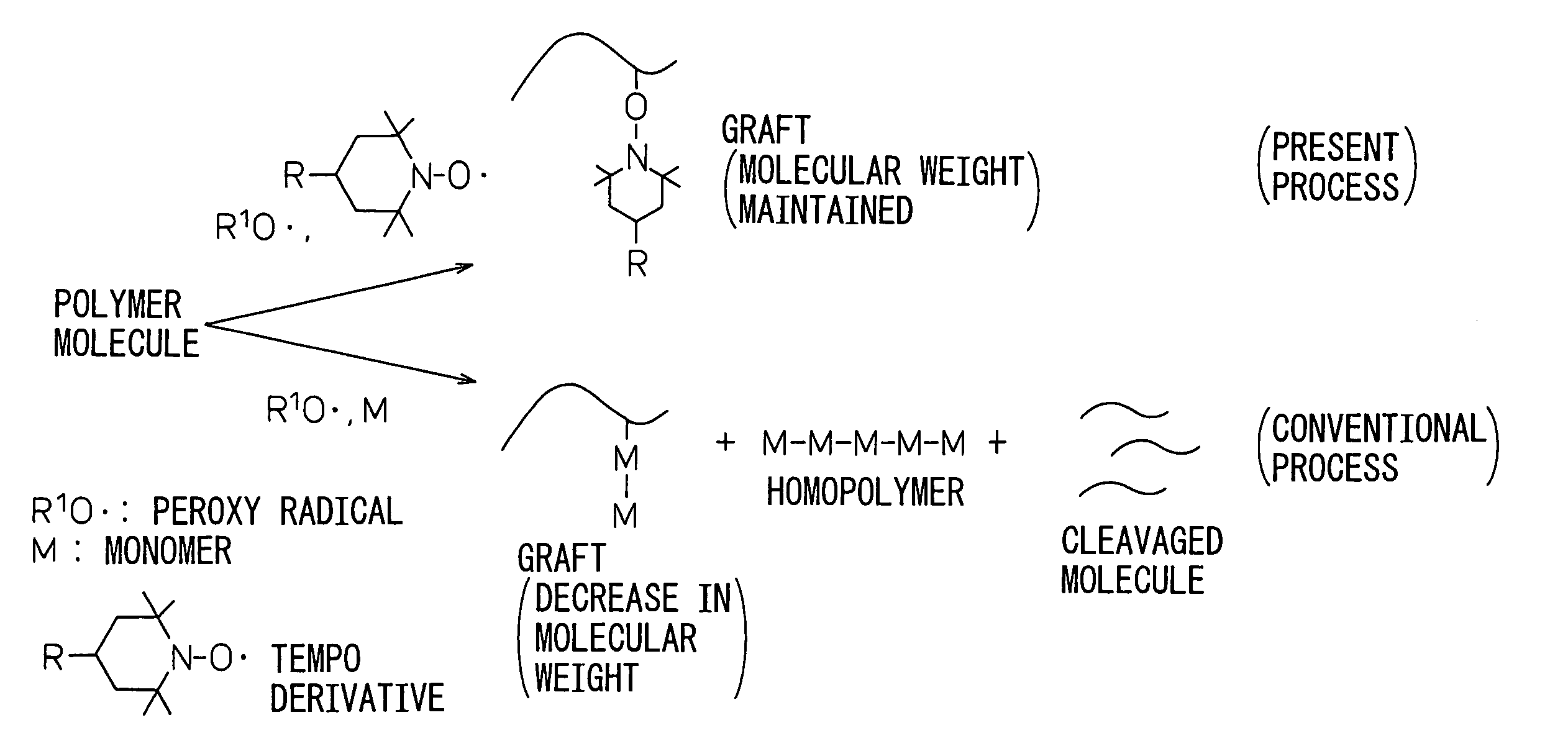 Process for modification of polymer