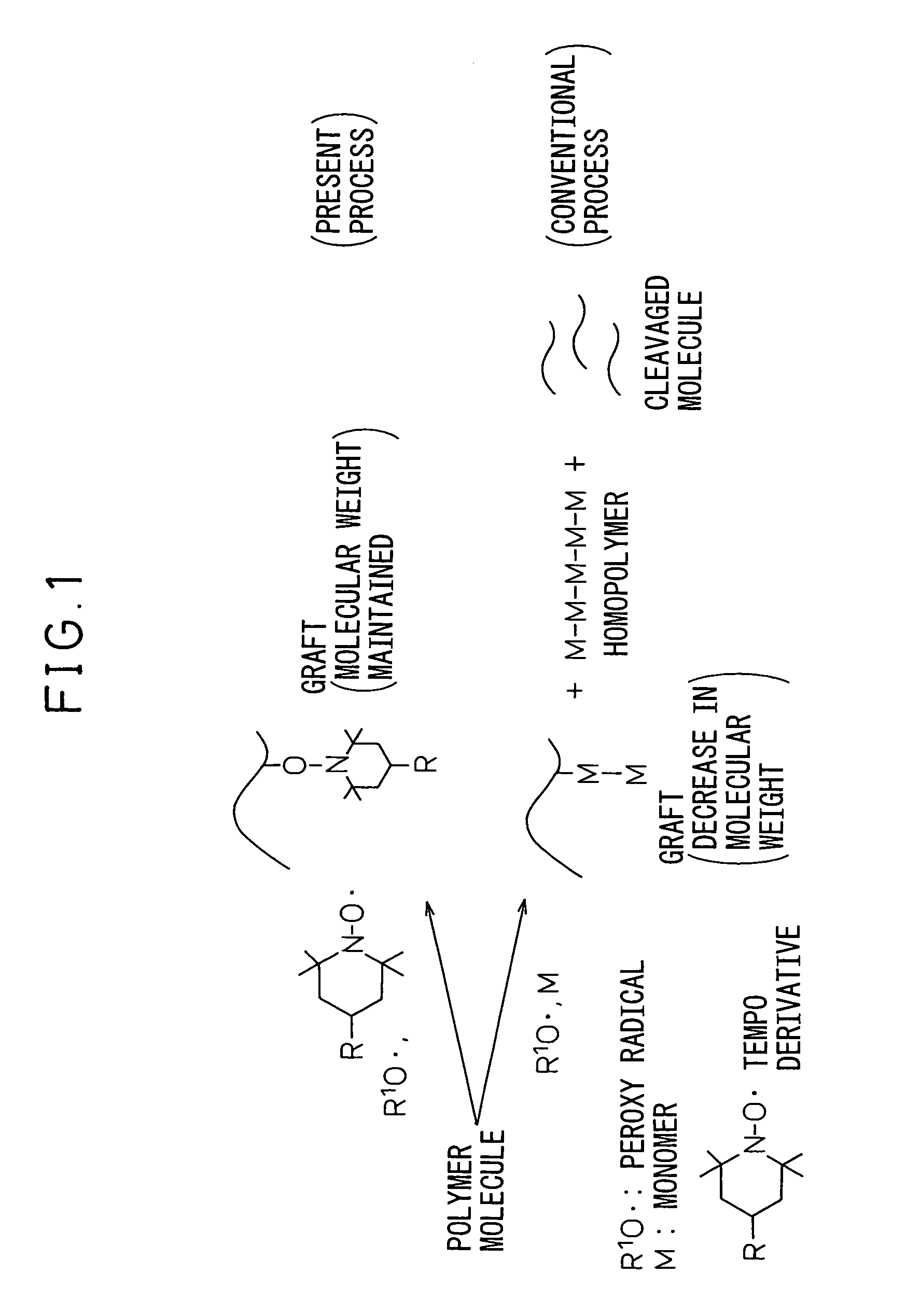 Process for modification of polymer